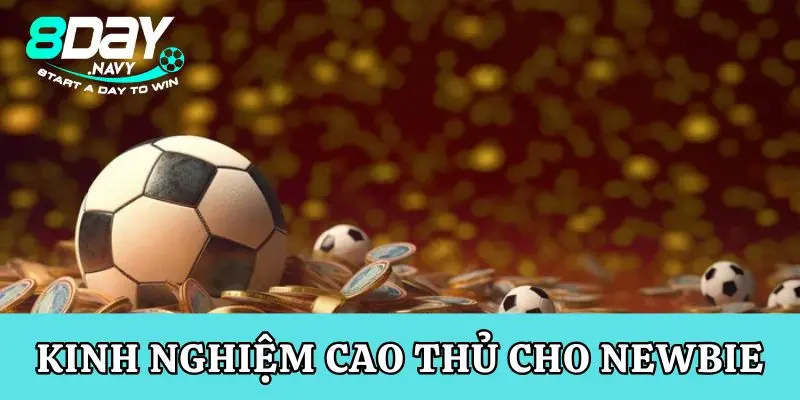 Thể Thao 8Day, Đỉnh Cao & Hấp Dẫn Kinh nghiệm từ cao thủ dành cho newbie chơi cá độ thể thao