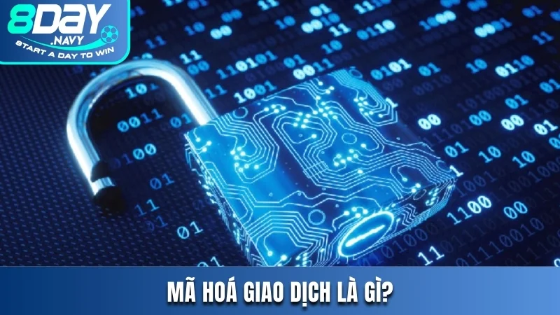 Trả Lời Vấn Đề Nhà Cái 8DAY Có Áp Dụng Mã Hóa Giao Dịch Không? Mã hoá giao dịch là gì?