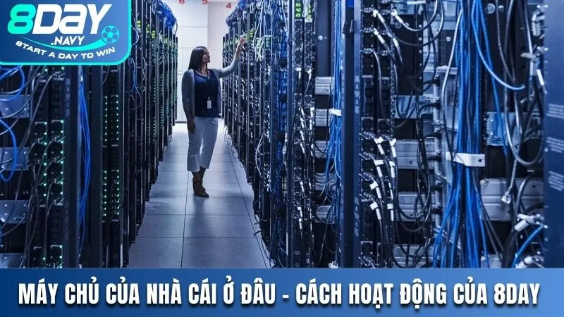 Máy Chủ Của Nhà Cái 8DAY Ở Đâu? Cách Thương Hiệu Hoạt Động Máy chủ của nhà cái 8DAY ở đâu