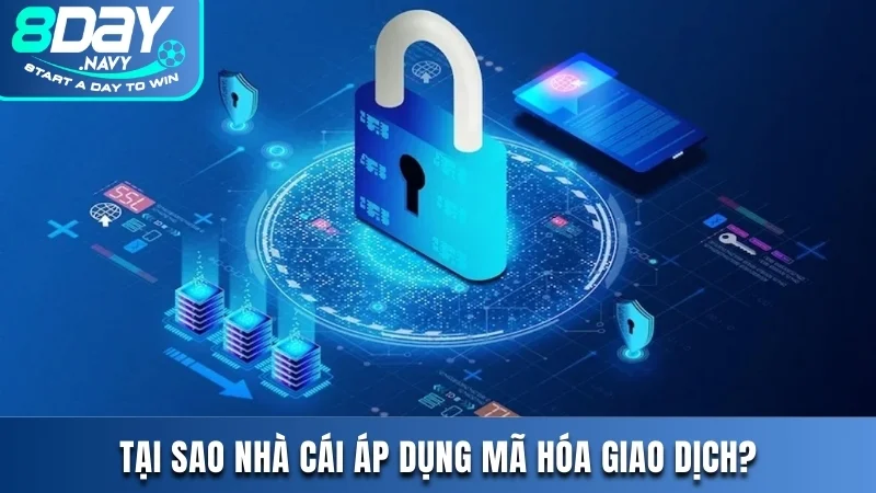 Trả Lời Vấn Đề Nhà Cái 8DAY Có Áp Dụng Mã Hóa Giao Dịch Không? Nhà cái 8DAY có áp dụng mã hóa giao dịch không và tại sao