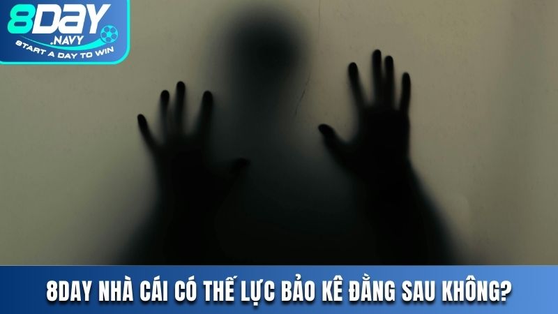 Nhà cái 8DAY có thế lực bảo kê đằng sau không