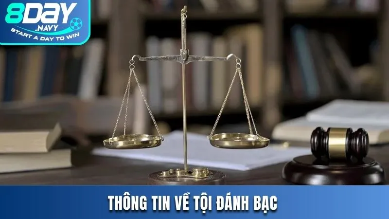 Thông tin về tội đánh bạc theo điều 321