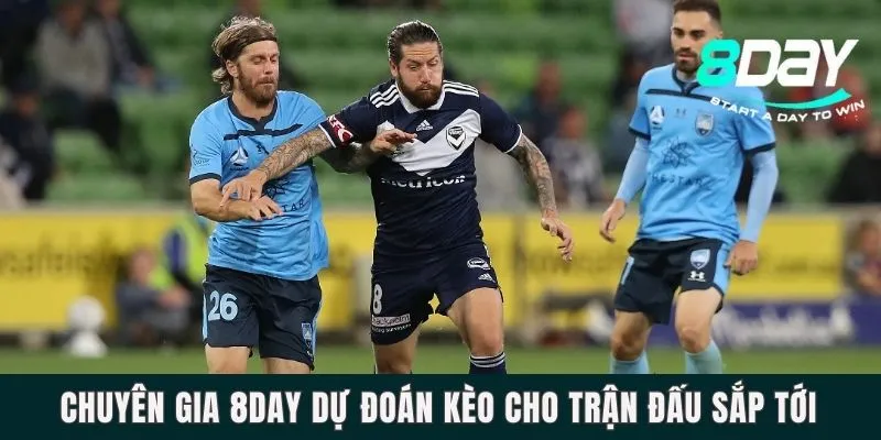 Chuyên gia 8DAY dự đoán kèo cho trận đấu sắp tới